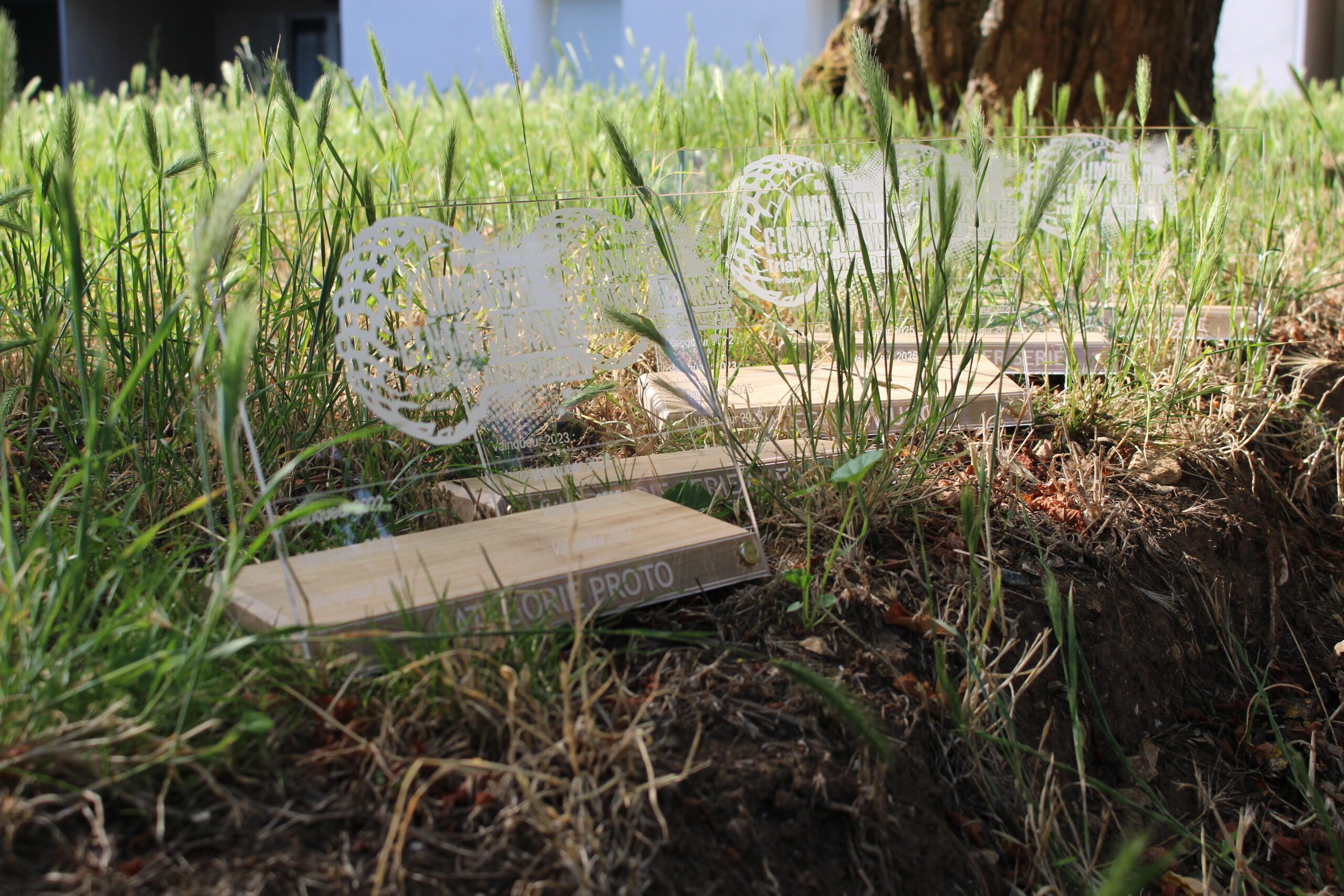 Ensemble des 5 trophées posés dans l'herbe